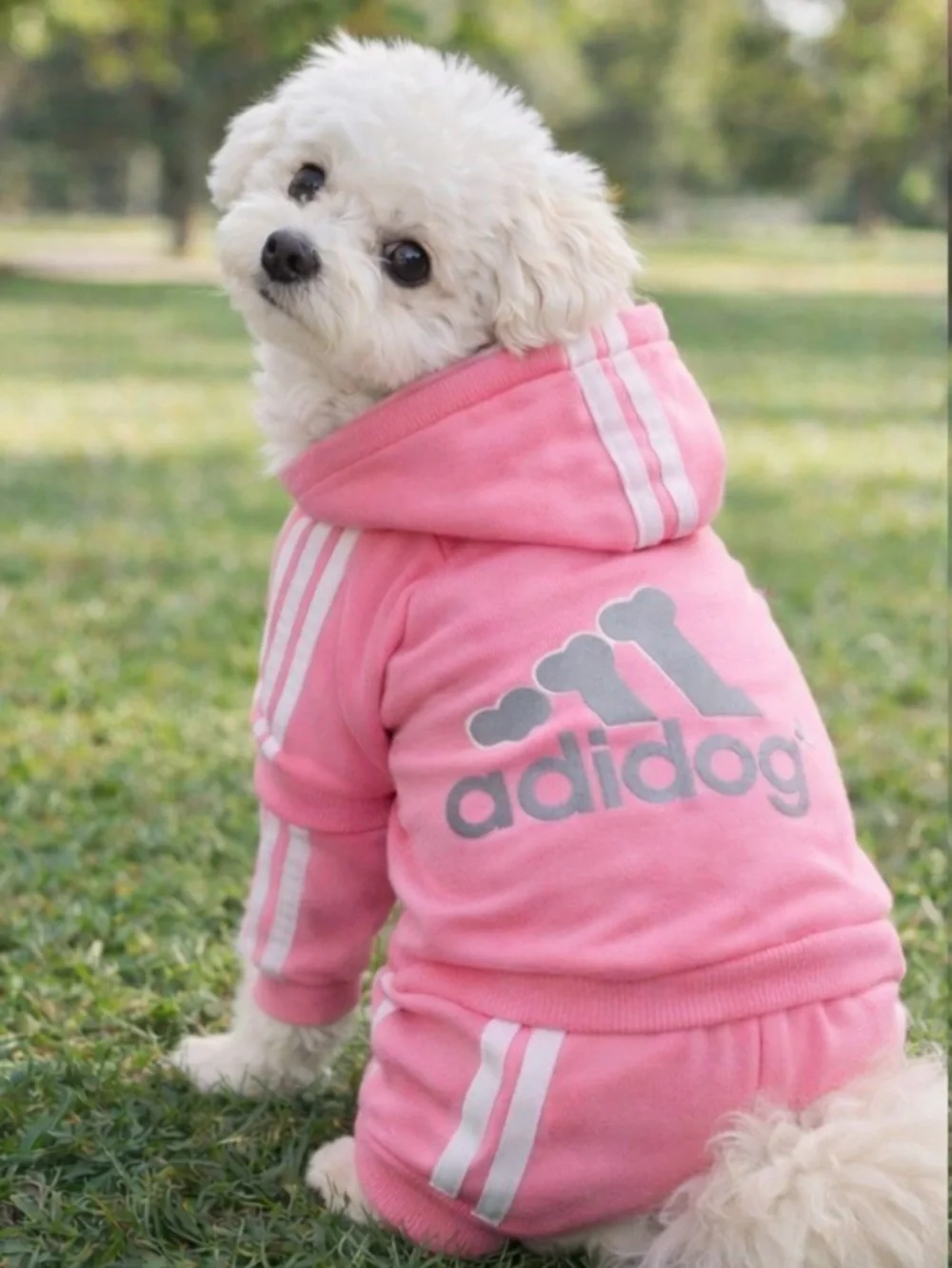 “Adidog” Pink Dog Clothes - Picture 1 of 4